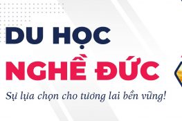 Lộ Trình Du Học Nghề Đức: Hướng Dẫn Chi Tiết Từ A Đến Z