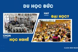 Lý do khiến 10.000 bạn trẻ Việt Nam chọn học nghề ở Đức thay vì đại học